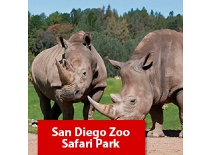 San Diego Zoo Safari Park - 1 dia