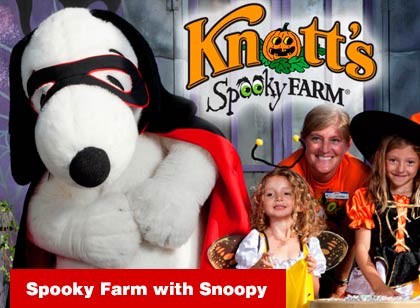 Knott's Berry Farm - Segunda a Quinta-Feira
